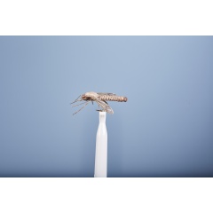 Erdfliege JMC Cousin 20 H10