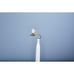 Aufstrebende Fliege JMC Dc 4 BL H16