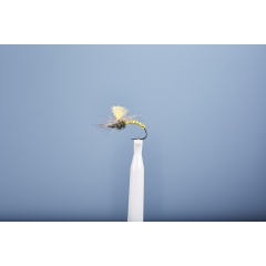 Aufstrebende Fliege JMC Dc 6 BL H16