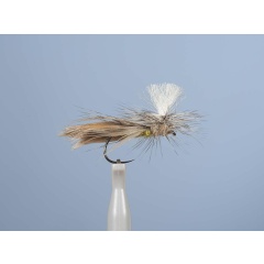 Aufstrebende Fliege JMC Dc 71BL H10