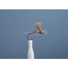 Aufstrebende Fliege JMC Dc 100 BL H14