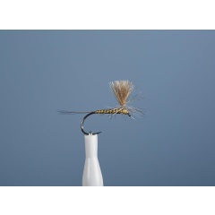 Aufstrebende Fliege JMC Dc 101 BL H16