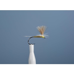 Aufstrebende Fliege JMC Dc 102 BL H16