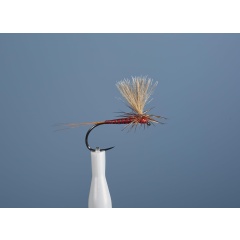 Aufstrebende Fliege JMC Dc 103 BL H12