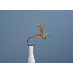 Aufstrebende Fliege JMC Dc 104 BL H16