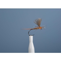 Aufstrebende Fliege JMC Dc 105 BL H14