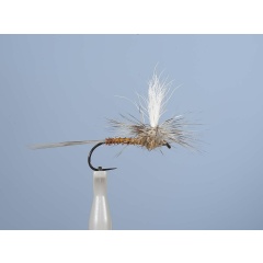 Aufstrebende Fliege JMC Dc 51BL H12