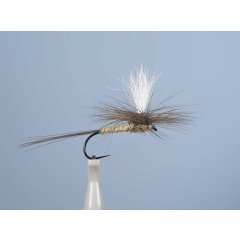 Aufstrebende Fliege JMC Dc 53BL H12