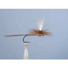 Aufstrebende Fliege JMC Dc 54BL H12