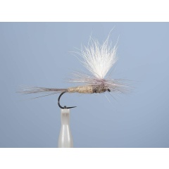 Aufstrebende Fliege JMC Dc 55BL H14