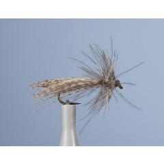 JMC Eli Seggenfliege 30 H16