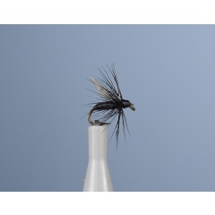 JMC Fo 1 H18 Erdfliege