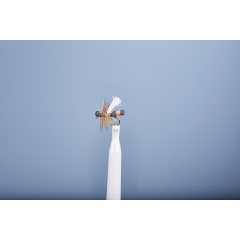 Erdfliege JMC FO 22 H16