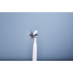 Erdfliege JMC FO 23 H16