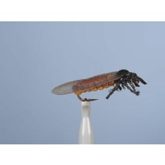 JMC Big Pearl H10 Earth Fly JMC Grande Perle H10