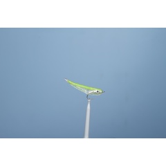 JMC Gummy Sea Streamer Fly 6 H 6