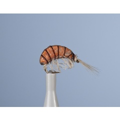 Nymphe Fliege JMC Jcc 100 H16