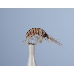 Nymphe Fliege JMC Jcc 120 H16