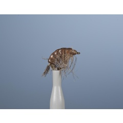 Fliegennymphe JMC Jcc 132 H14