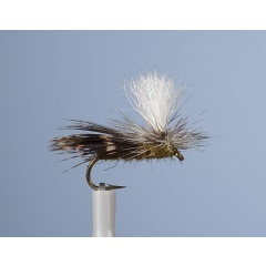 Aufstrebende Fliege JMC JMC 13 H18