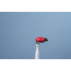 JMC Grundfliege JMC Käfer H14