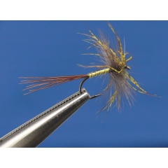 rumpf von 3 Eintagsfliegen