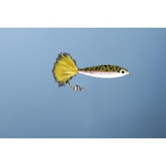 JMC Elritze 3 H4 Fleischfliege JMC Elritze 3 H4