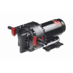 Wassergruppe Johnson Aqua Jet WPS 5.2 24 V