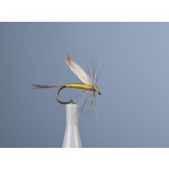 JMC Ornans 1 H16 Kurzlebige Trockenfliege JMC Ornans 1 H16