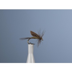 JMC Ornans 2 H16 Kurzlebige Trockenfliege JMC Ornans 2 H16