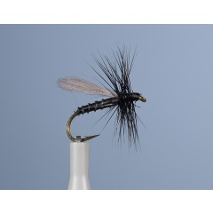 Erde Fliege JMC Ph 14 H14