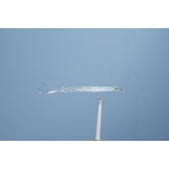 Streamer Seefliege JMC SPM 55 H2