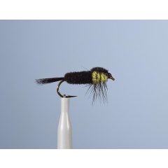 Fleischfressende Fliege JMC Montana St 31 H10