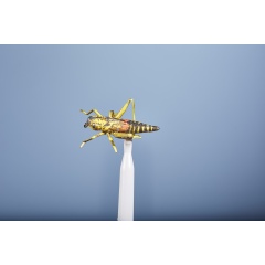 JMC Grashüpfer Fliege 20 H8