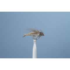 Fliegen-Segge JMC ZC 13 Grau H16