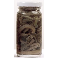 Naturköder in Dosen Grauvell to