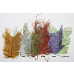 Federn JMC Straußen-Zebra-Federn