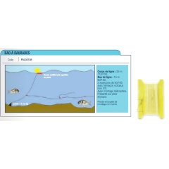 Bao in Dauraden Kerfil