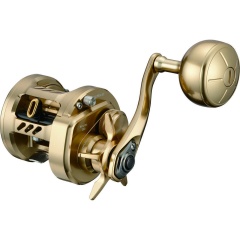 Daiwa Basara 21 - 200 L Baitcastrolle 