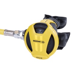 Oktopus tauchen Beuchat 1Dive