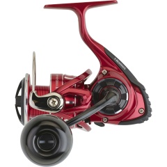 Angelrolle Daiwa BG RR ARK - 5000 D CXH ARK