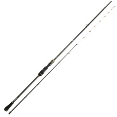 Canne Daiwa Team Daiwa Tenya