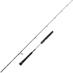 Penn Prevail III Light Jigging Spinnrute