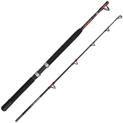 Angelrute Penn Warfare II Boat Rod