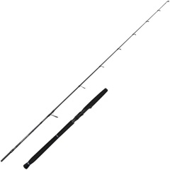 Spinnrute Savage Gear Defiance SG2 Jigging