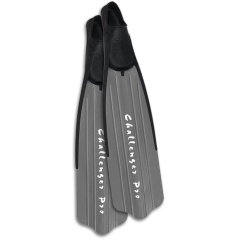 Herausforderer Pro Flossen