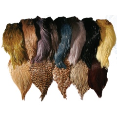 Federn JMC Indian Neck Top Grade gefärbt N°09 Hellgrau