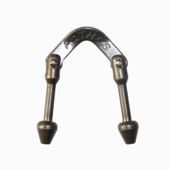 Zu ligierende "LaserPathos"-Schale