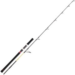 Canne Spinning Daiwa Grandwave Jigging 