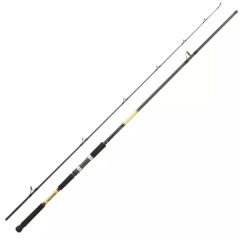 Angelrute Daiwa Grandwave Shore Jig 23 SJ 1002 XXHFS